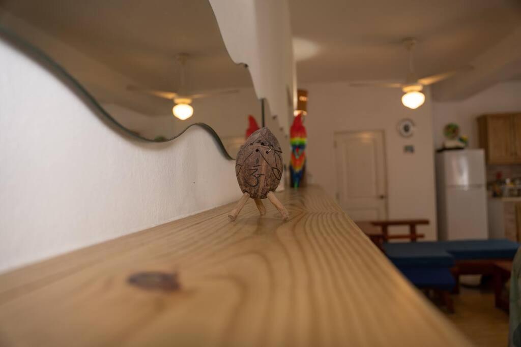 Villa Caribe バヤイベ エクステリア 写真