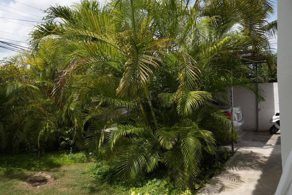 Villa Caribe バヤイベ エクステリア 写真