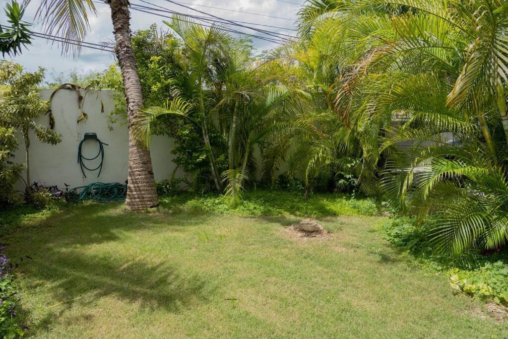 Villa Caribe バヤイベ エクステリア 写真